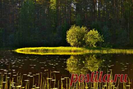 Из альбома "Отражение"