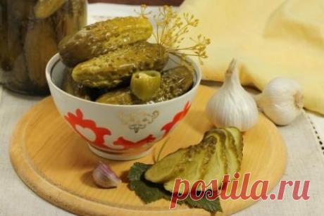 Заготовки на зиму | Записи в рубрике Заготовки на зиму | Дневник Надя_Ф