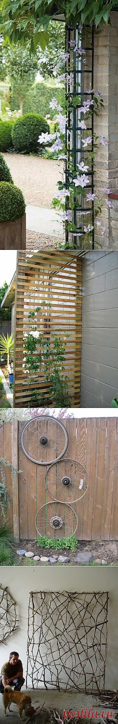 Hiding a downspout with trellis | Garden wonderland