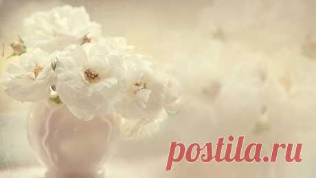 106740943_1.jpg (Изображение JPEG, 1366 × 768 пикселов)