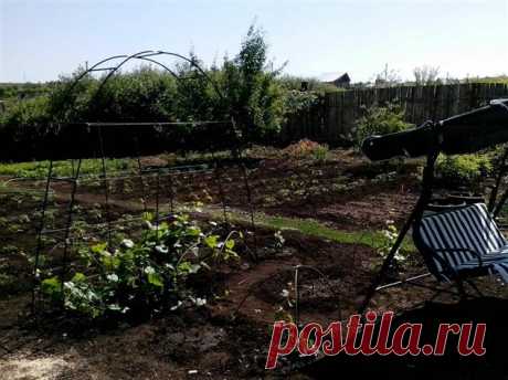 Жадная подруга отдохнула за мой счет и еще наварилась на мне ( 1 фото ) | Краше Всех