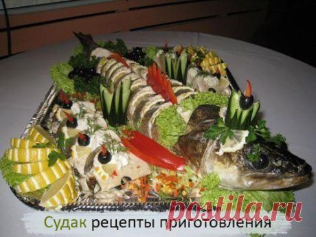 Судак рецепты / Богатая добыча