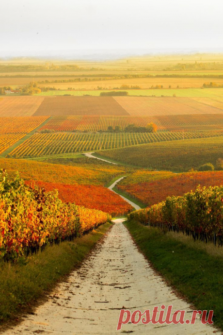 Найдено на сайте serendipitouswanderings.tumblr.com.