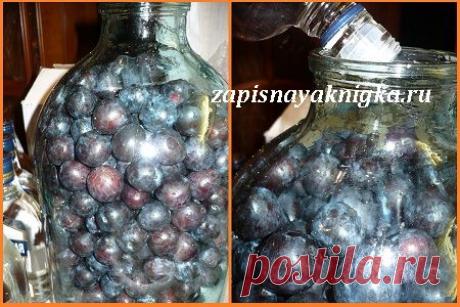 Рецепт наливки из тернослива