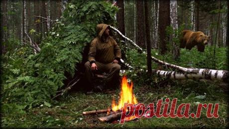 Выживание с Медведями! Ночёвка в мокром лесу. Без снаряжения 24 часа