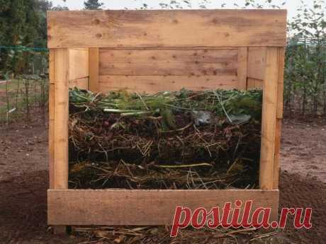 Про этот метод выращивания вам никто не расскажет | АГРОНОМ ИВАН | Яндекс Дзен