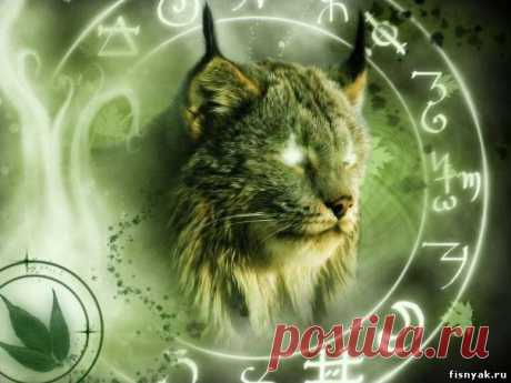 Самый короткий и правдивый гороскоп.