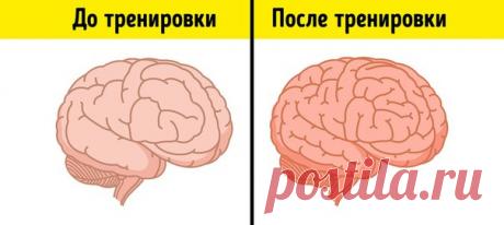 Когда спорт и интеллект заодно: 7 видов спортивных тренировок для мозга