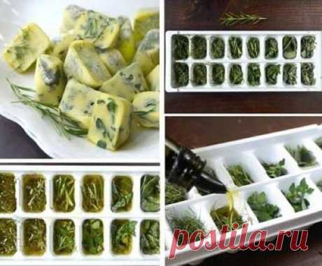 Как можно надолго сохранить зелень свежей?