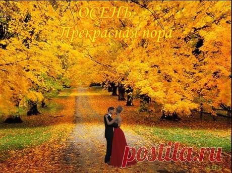 Я ухожу в осеннюю аллею,
Иду неспешно, листьями шурша.
И ни о чем я больше не жалею,
Осенний блюз поет моя душа.
Я ухожу в осеннюю небрежность.....