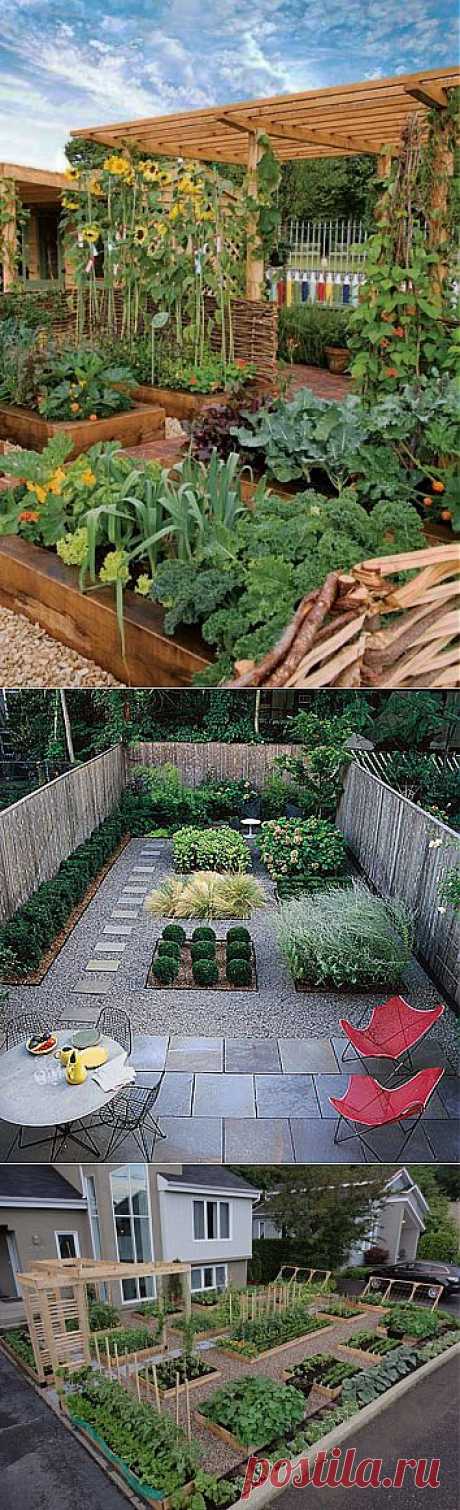 Декоративный огород.
Во всем мире становятся все популярнее декоративные огороды. они отличаются от старых, всем нам хорошо известных огородов тем, что стали более опрятными, аккуратными, удобными и, конечно, современными. Недаром их даже стали называть декоративными. В таких огородах делают высокие гряды, имеющие определённые преимущества...