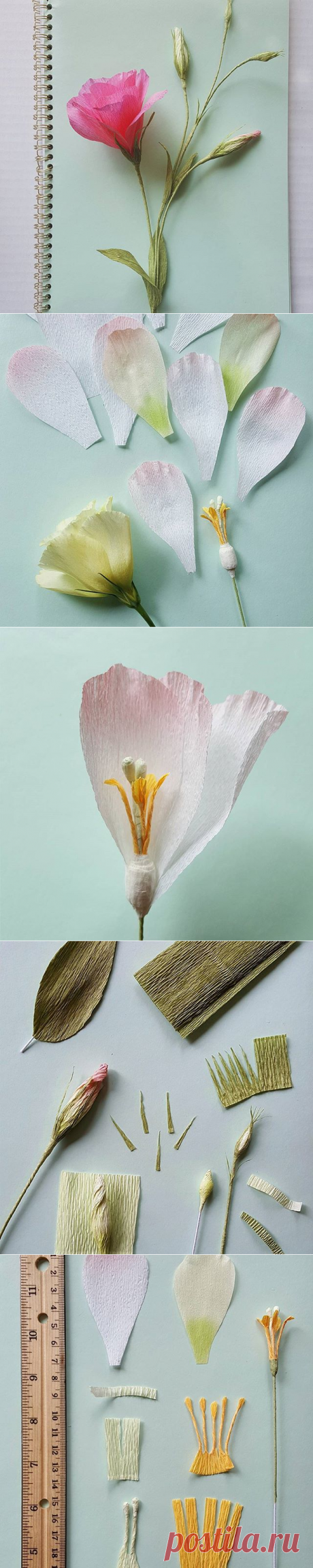 Lynn Dolan (@a.casual.florilegium) • Фото и видео в Instagram