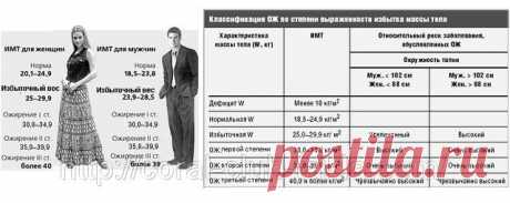 ИДЕАЛЬНЫЙ ИНДЕКС МАССЫ ТЕЛА ДЛЯ ЖЕНЩИН, МУЖЧИН, ИДЕАЛЬНЫЙ ВЕС, ФОРМУЛА ТАБЛИЦА РАСЧЕТ РАСЧИТАТЬ: продажа, цена в Киеве. капсулы, таблетки и порошки для похудения от "Коралловый клуб - Лучшие продукты для лучшего здоровья и успеха!" - 563180
