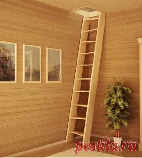 как сделать лаз на чердак из дома: 20 тыс изображений найдено в Яндекс.Картинках