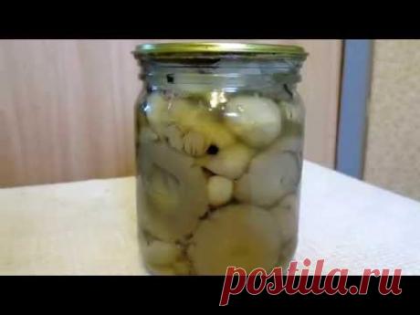 Сыроежки соленые Сыроежки и маслята в заморозку на зиму