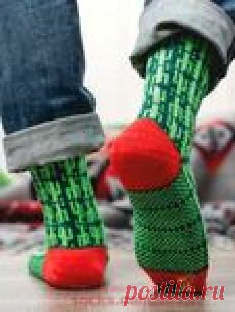 Вязаные носки «Кактус пустыни Сонора»