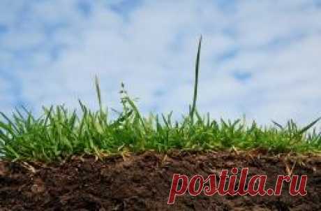 Как определить тип почвы и ее кислотность - Садоводка