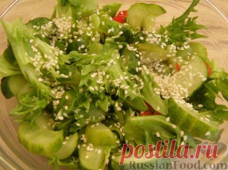 50 пошаговых фото рецептов блюд из огурцов