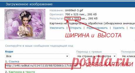 Дневник Хребтова_Елена