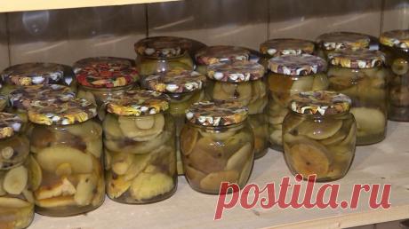 Универсальный маринад для консервации грибов. С магазинными баночками не сравнить. И два способа заморозки грибов | ДАЧНИК СТРОИТЕЛЬ | Яндекс Дзен