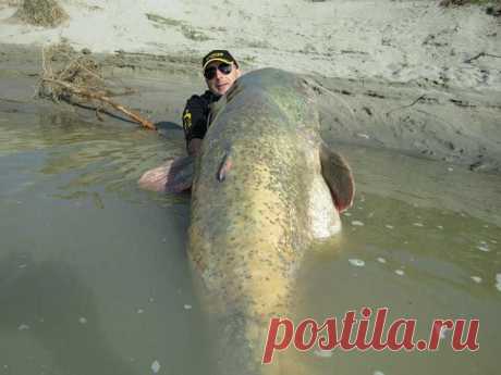 Этот рыбак даже не ожидал ТАКОГО! Но то, что он сделал после, заслуживает глубокого уважения