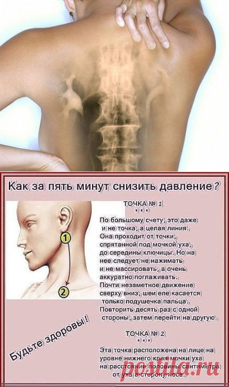 1 непрочитанный чат