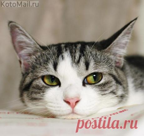 Мысли должны быть позитивными.