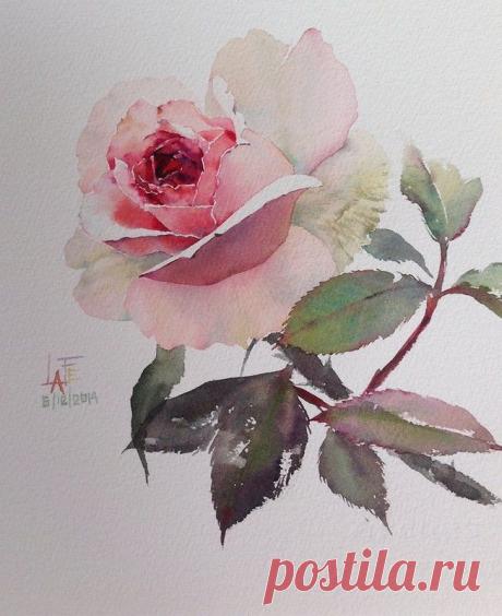 Акварель без карандаша. Художник La Fe