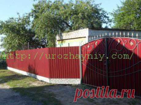 Забор из профнастила своими руками | Урожайная дача