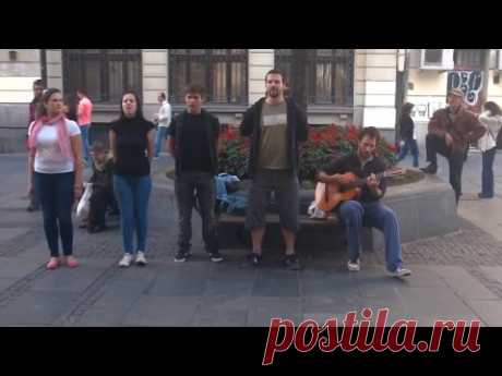 Сербы ПОТРЯСНО ПОЮТ русские песни! Это нельзя пропустить!