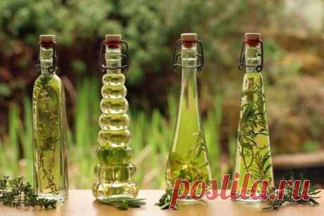 Эфирное масло орегано – полезные свойства и рецепты.