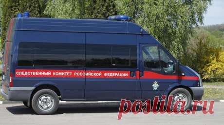 В Тамбове нашли останки убитого шесть лет назад младенца