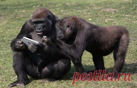 юмор | Записи в рубрике юмор | Дневник Oleg_376