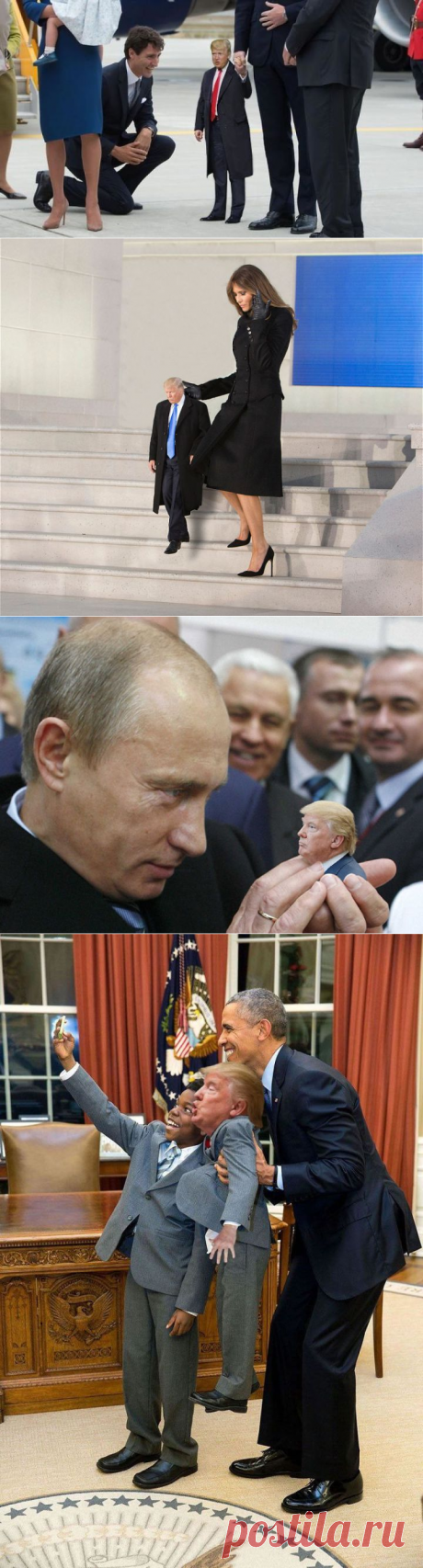 Фотографии крошечного Трампа штурмуют интернет! Hotorangepants.ru