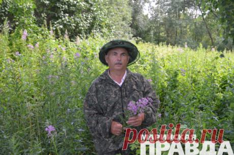 Травник из Марий Эл рассказал о тайнах «соломоновой печати»