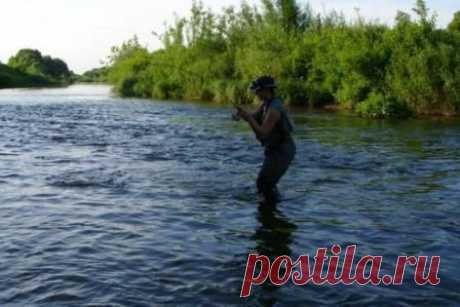 Спиннинговая снасть для ловли голавля / Богатая добыча