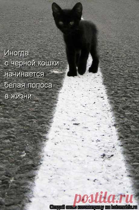 Штакетная тропа | KotoMail.ru