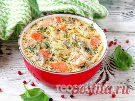 Сырный суп с форелью и грибами | Кулинарные рецепты с фото на Рецептыши.ру