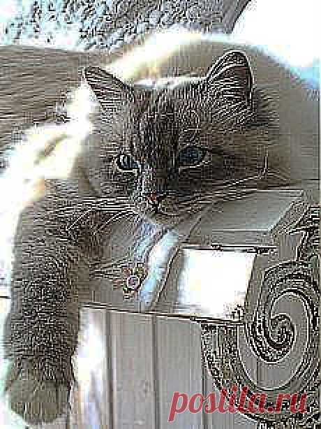 Быстрый, вкусный завтрак | Простые рецепты с фото и другие материалы. Новое в Вашей подборке на Постила.ru - shkamerdomaria@mail.ru - Почта Mail.Ru