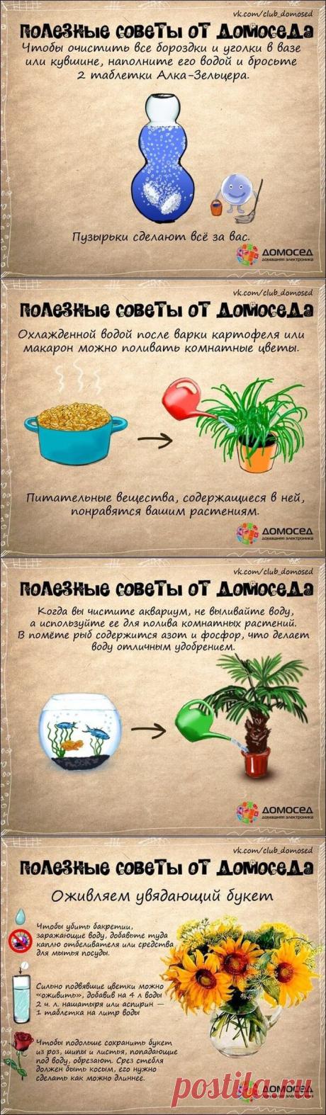 Подборка советов, которые пригодятся в быту. В картинках.