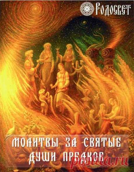 Светлана Мамеко