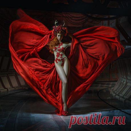 Волнующие и мрачные работы Stefan Gesell