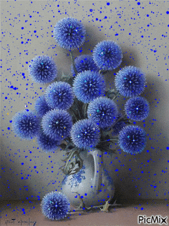 Живые фотографии – Сообщество – Google+
