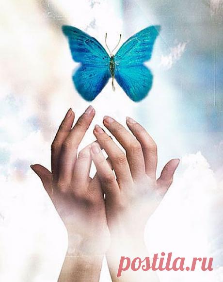 6 причин для счастья.