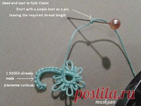 Клуб Фриволите