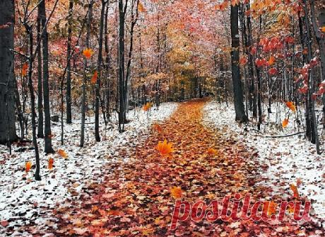 (92) Одноклассники