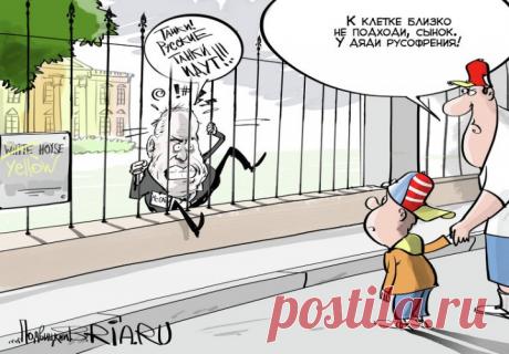 Нижний «хук» от Маккейна: «Украинцы, это часть русских, усыновленных европейскими извращенцами»