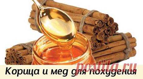 Корица и мёд для похудения
Может показаться удивительным, но такой сладкий продукт, как мёд, поможет в твоем стремлении к стройности! Нужно лишь начать употреблять его особенным образом…
Секрет этой активной смеси — в воздействии на желудочно-кишечный тракт.
Показать полностью…