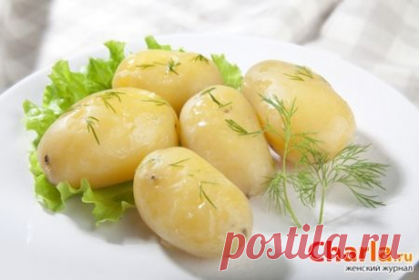 Что едят в Великий пост: запрещенные и разрешенные продукты