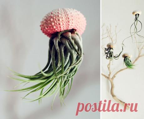 ФотоТелеграф » 15 самых оригинальных горшков и кашпо для комнатных растений